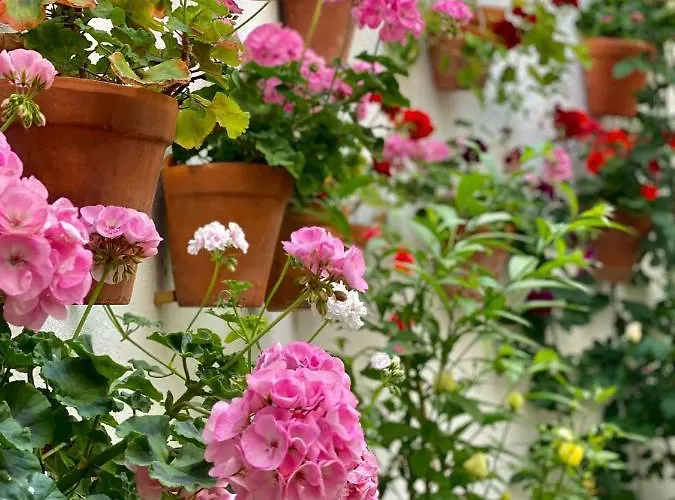 Amal Casa De Huespedes * 科爾多瓦