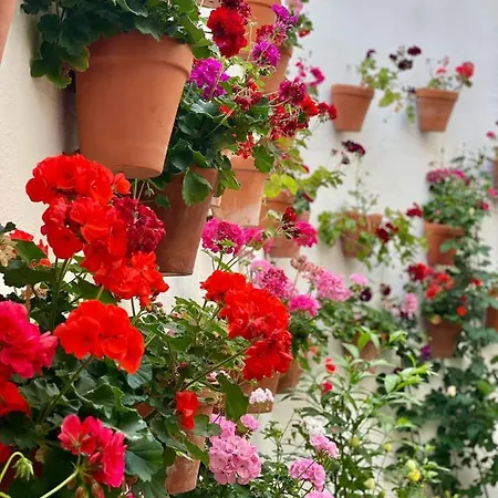 Amal Casa De Huespedes 公寓