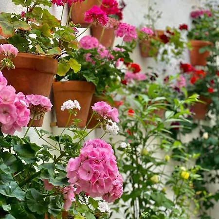 Amal Casa De Huespedes * 科爾多瓦