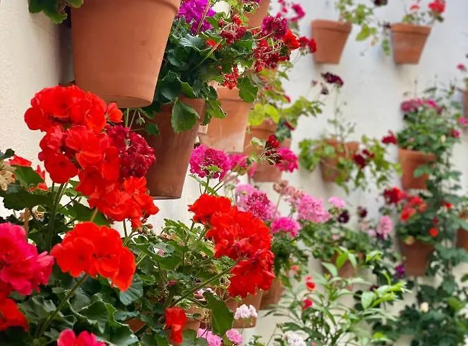 Amal Casa De Huespedes Appartement