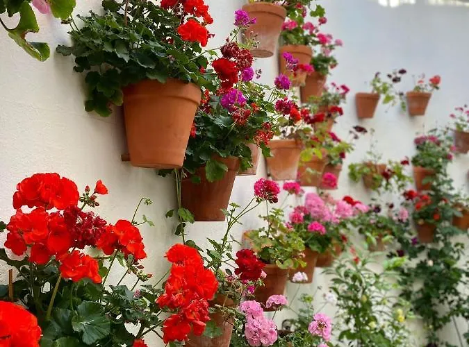 Appartement Amal Casa De Huespedes Córdoba