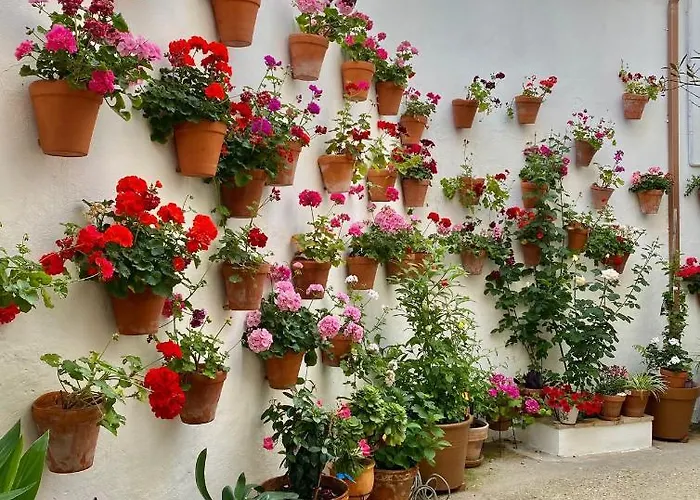 Amal Casa De Huespedes *