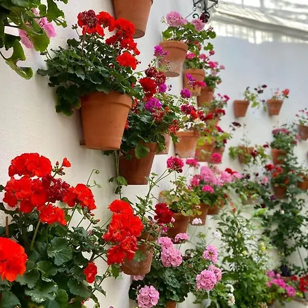 아파트 Amal Casa De Huespedes 코르도바