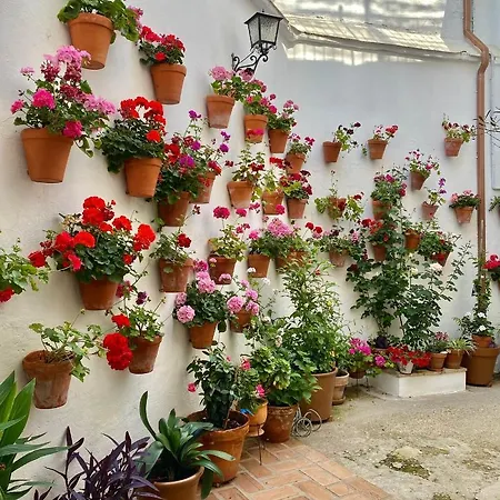 Amal Casa De Huespedes *