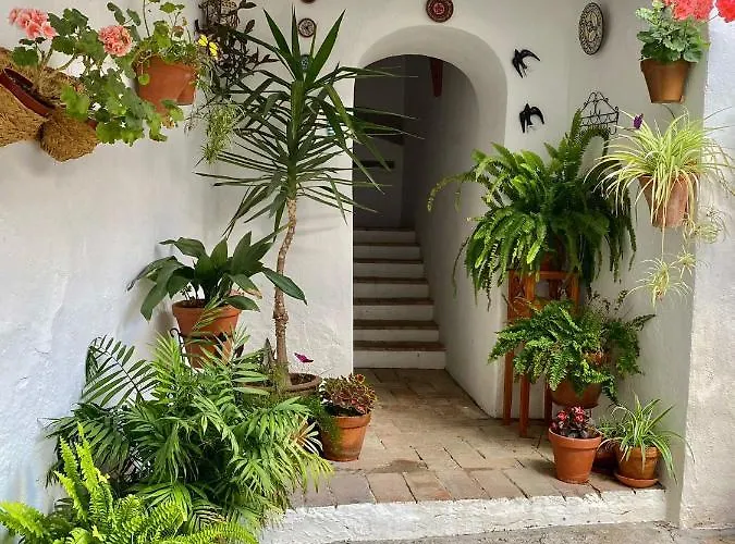 Amal Casa De Huespedes 아파트 코르도바